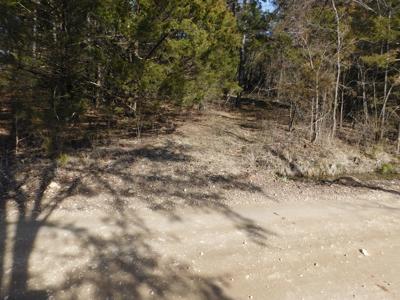 Newton County Shop Creek Land For Sale Parthenon Valley - image 1