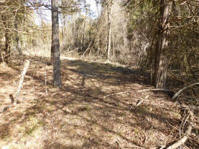 Newton County Shop Creek Land For Sale Parthenon Valley - image 3