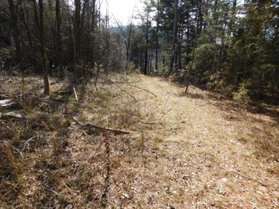 Newton County Shop Creek Land For Sale Parthenon Valley - image 5