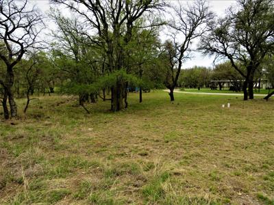 Lake Brownwood Lots for sale - image 2