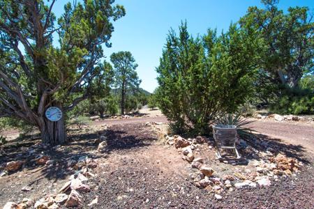 Off Grid Home for Sale borders State Trust Land, Seligman AZ - image 33