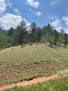 Land for Sale in the Colorado Rocky Mountains - image 7