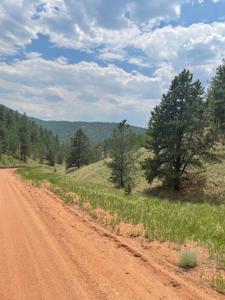 Land for Sale in the Colorado Rocky Mountains - image 9