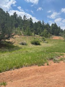 Land for Sale in the Colorado Rocky Mountains - image 5