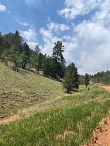 Land for Sale in the Colorado Rocky Mountains - image 6