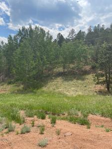 Land for Sale in the Colorado Rocky Mountains - image 4