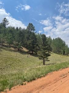 Land for Sale in the Colorado Rocky Mountains - image 8