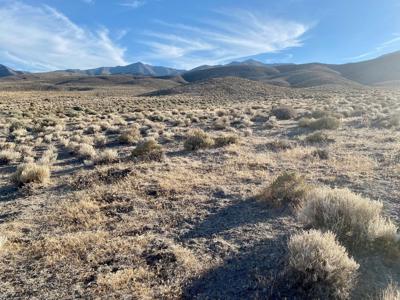 Off the grid land for sale near Unionville, NV - image 8