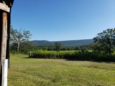 Upper Kiamichi River Wilderness Mountain Cabin - Nat. Forest - image 6