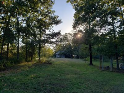 Upper Kiamichi River Wilderness Mountain Cabin - Nat. Forest - image 9