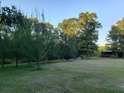 Upper Kiamichi River Wilderness Mountain Cabin - Nat. Forest - image 15