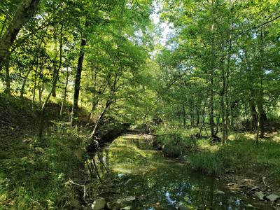 Upper Kiamichi River Wilderness Mountain Cabin - Nat. Forest - image 3