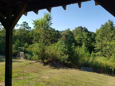 Upper Kiamichi River Wilderness Mountain Cabin - Nat. Forest - image 7