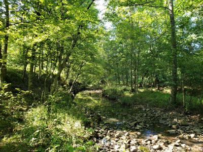 Upper Kiamichi River Wilderness Mountain Cabin - Nat. Forest - image 2