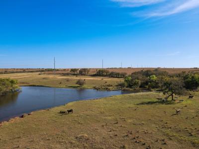 Hunting Ranch Land For Sale Grady County Ninnekah Oklahoma - image 14