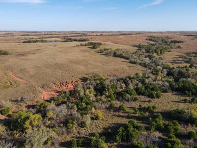 Hunting Ranch Land For Sale Grady County Ninnekah Oklahoma - image 28