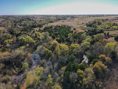 Hunting Ranch Land For Sale Grady County Ninnekah Oklahoma - image 19