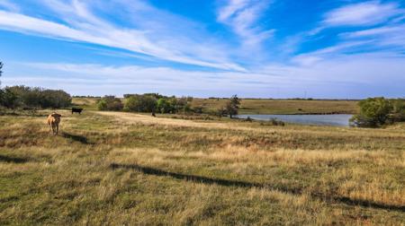 Hunting Ranch Land For Sale Grady County Ninnekah Oklahoma - image 13