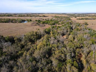 Hunting Ranch Land For Sale Grady County Ninnekah Oklahoma - image 18