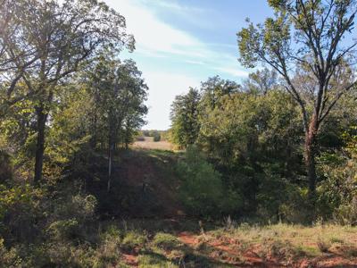 Hunting Ranch Land For Sale Grady County Ninnekah Oklahoma - image 23