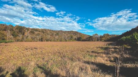 "The China Cave Tract" 447 Acres in Monterey, Tennessee - image 14