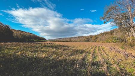 "The China Cave Tract" 447 Acres in Monterey, Tennessee - image 19