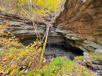 "The China Cave Tract" 447 Acres in Monterey, Tennessee - image 23