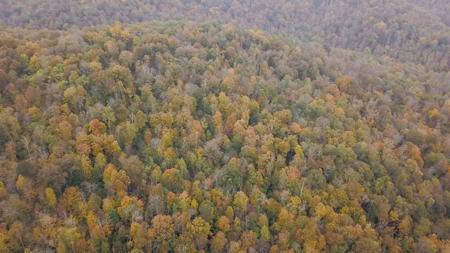 "The China Cave Tract" 447 Acres in Monterey, Tennessee - image 6