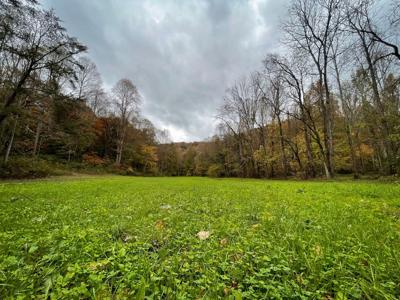 "The China Cave Tract" 447 Acres in Monterey, Tennessee - image 34