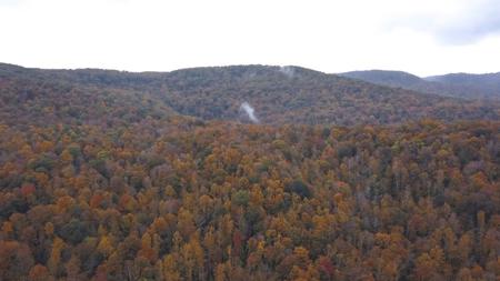 "The China Cave Tract" 447 Acres in Monterey, Tennessee - image 5