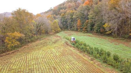 "The China Cave Tract" 447 Acres in Monterey, Tennessee - image 2