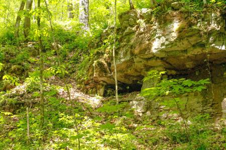 "The China Cave Tract" 447 Acres in Monterey, Tennessee - image 47