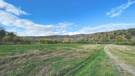 "The China Cave Tract" 447 Acres in Monterey, Tennessee - image 11