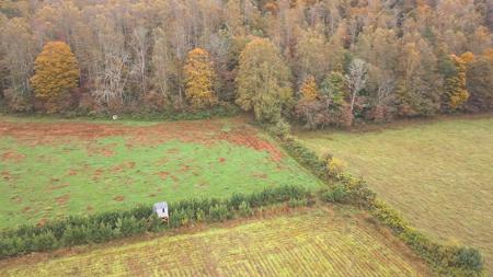 "The China Cave Tract" 447 Acres in Monterey, Tennessee - image 1