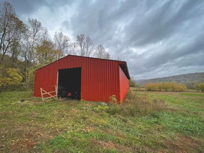 "The China Cave Tract" 447 Acres in Monterey, Tennessee - image 29