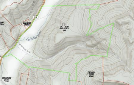 "The China Cave Tract" 447 Acres in Monterey, Tennessee - image 42