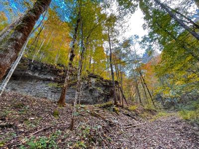 "The China Cave Tract" 447 Acres in Monterey, Tennessee - image 20