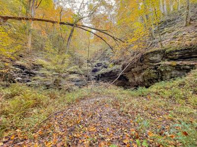 "The China Cave Tract" 447 Acres in Monterey, Tennessee - image 22