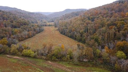 "The China Cave Tract" 447 Acres in Monterey, Tennessee - image 4