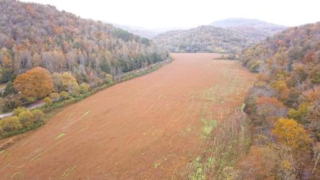 "The China Cave Tract" 447 Acres in Monterey, Tennessee - image 3