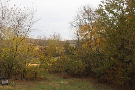 Getaway Cabin in the Ozark Mountains - image 17