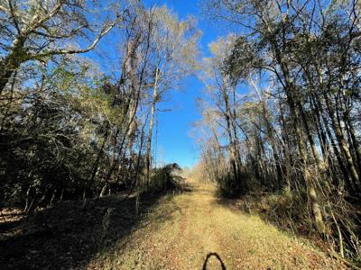 Duck, Deer, Turkey, Hog Hunting - image 11