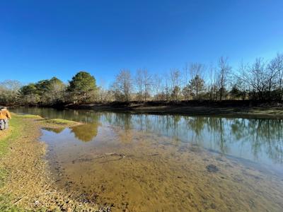 Duck, Deer, Turkey, Hog Hunting - image 18