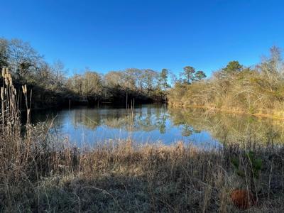 Duck, Deer, Turkey, Hog Hunting - image 20