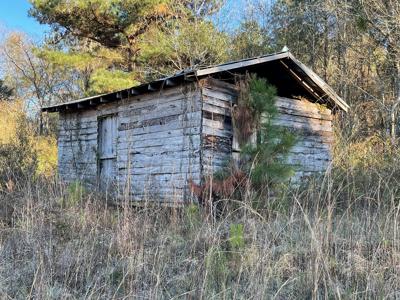 Duck, Deer, Turkey, Hog Hunting - image 19