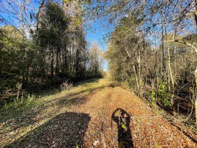 Duck, Deer, Turkey, Hog Hunting - image 10