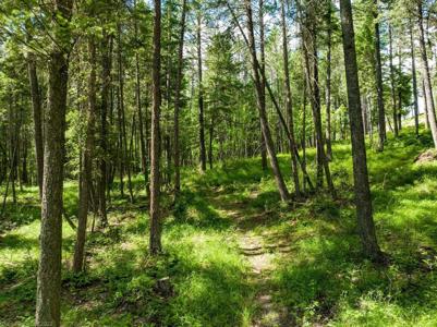 Golf Course Acreage In Whitefish Montana For Sale - image 12