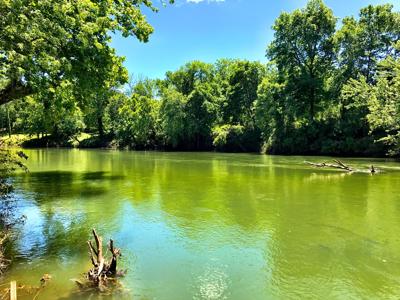 Spring River Lots For Sale in Arkansas - image 2