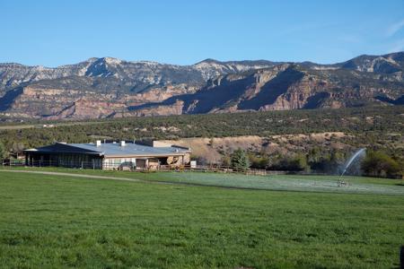 Colorado cattle ranch with grazing permits for sale - image 10