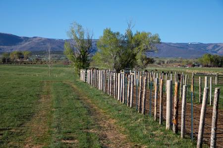 Colorado cattle ranch with grazing permits for sale - image 11